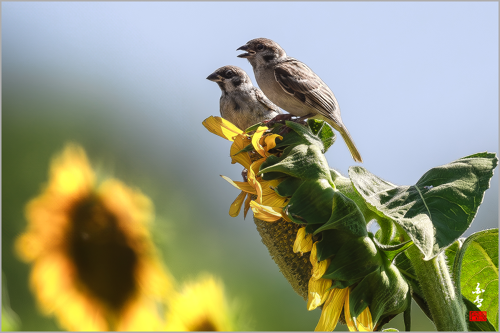 PHOTO BY  | NIKON D500 | 2024:08:12 15:58:23 | ISO-250 | 1/2000 sec | f 5.6 | 500 mm | EV=0 | ● WIDTH:1700 pixels  HEIGHT:1133 pixels