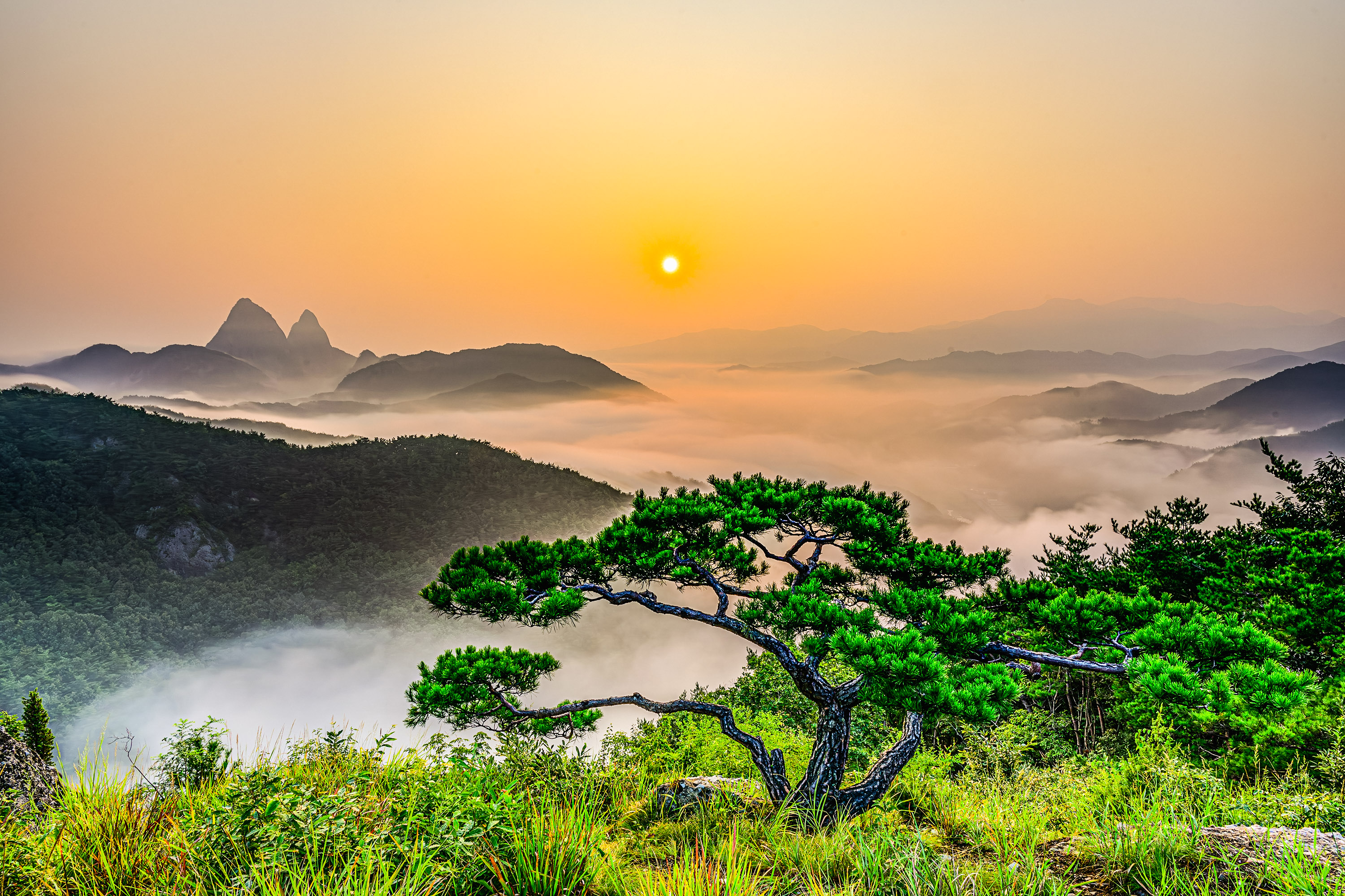 PHOTO BY  | NIKON Z 7_2 | 2024:08:24 06:28:40 | ISO-64 | 5/1 sec | f 16 | 24 mm | EV=0 | ● WIDTH:  HEIGHT: