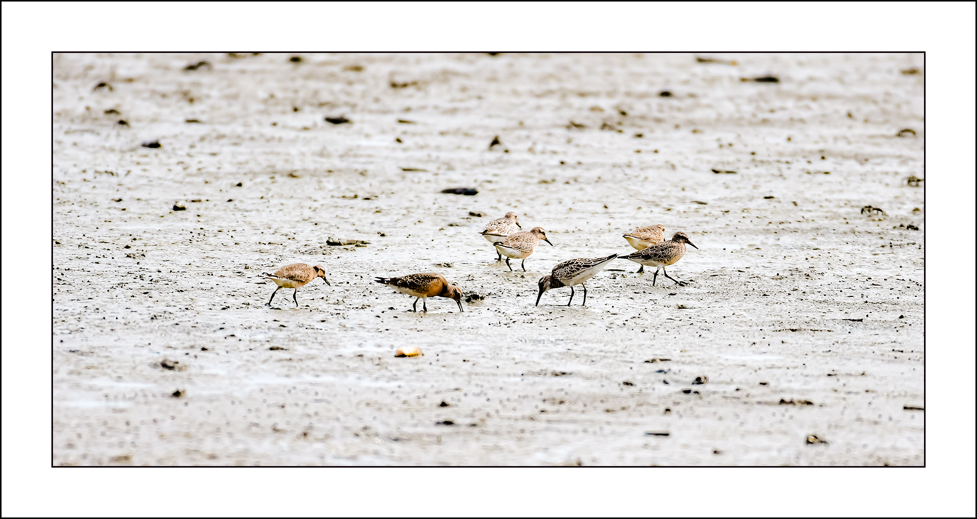   | PHOTO BY :   |