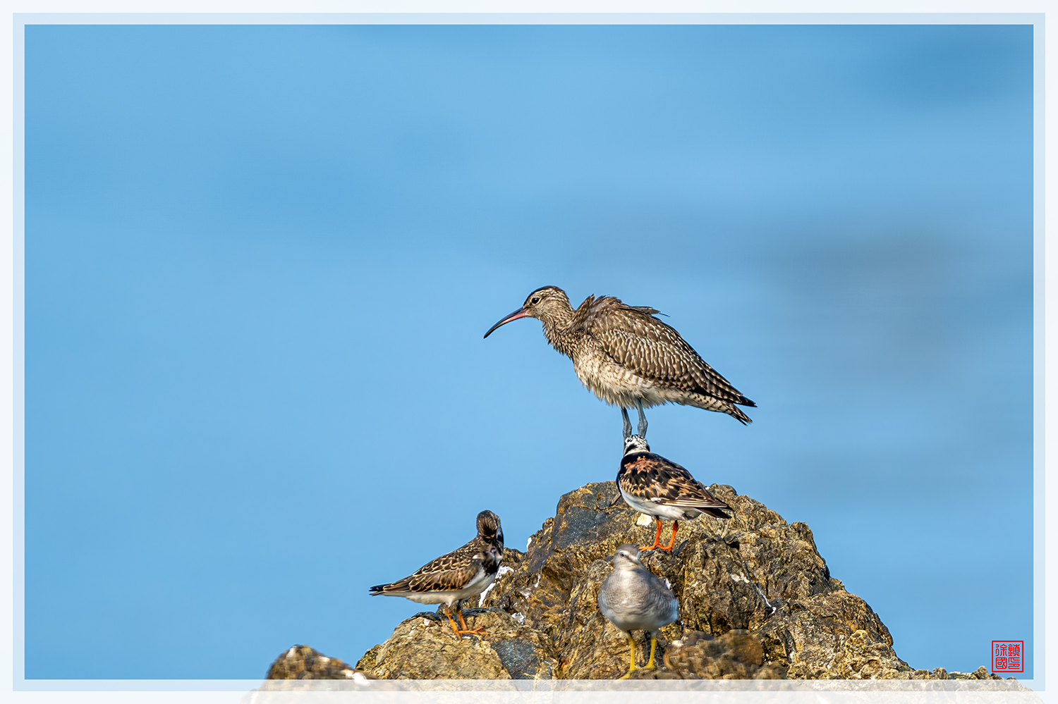 PHOTO BY  | NIKON Z 9 | 2024:08:25 16:43:45 | ISO-900 | 1/3200 sec | f 5.6 | 840 mm | EV=0.3 | ● WIDTH:1500 pixels  HEIGHT:999 pixels