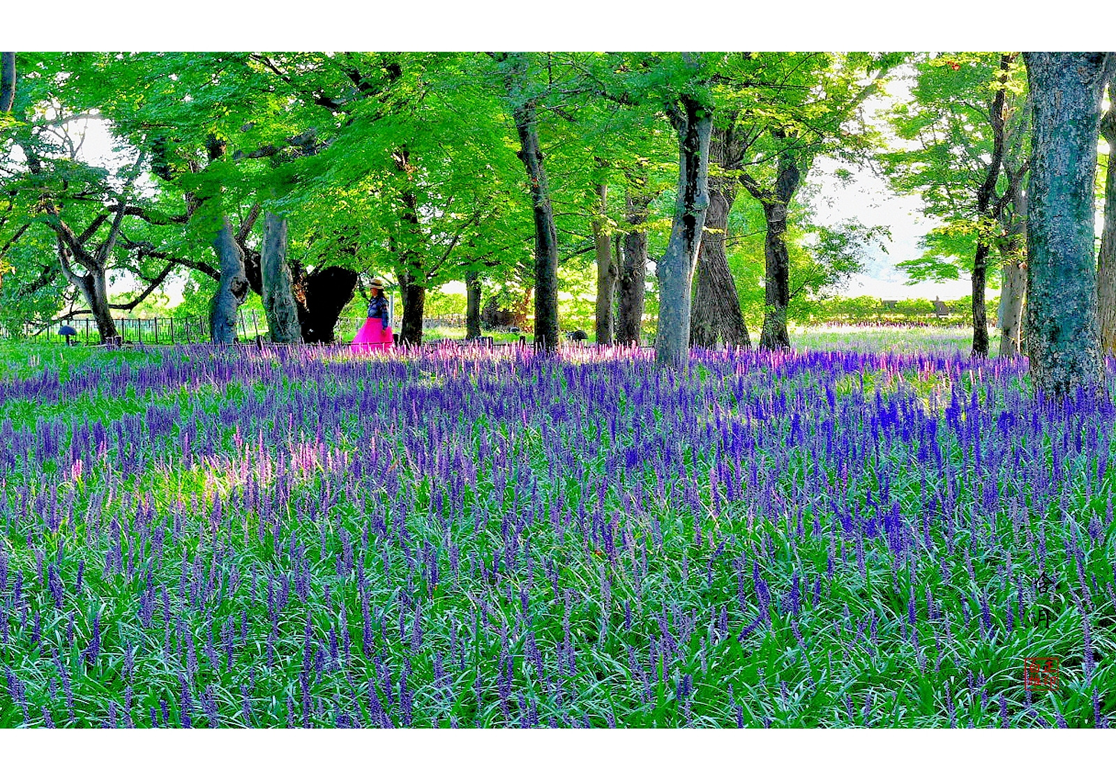 PHOTO BY Hamwuel Baek | NIKON D5 | 2024:08:13 07:22:54 | ISO-100 | 25/100 sec | f 11 | 70 mm | EV=0 | ● WIDTH:1600 pixels  HEIGHT:1118 pixels