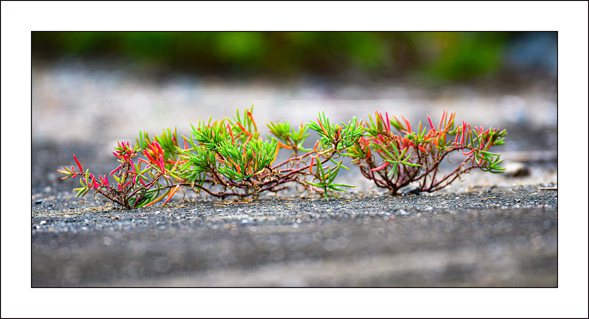   | PHOTO BY :   |