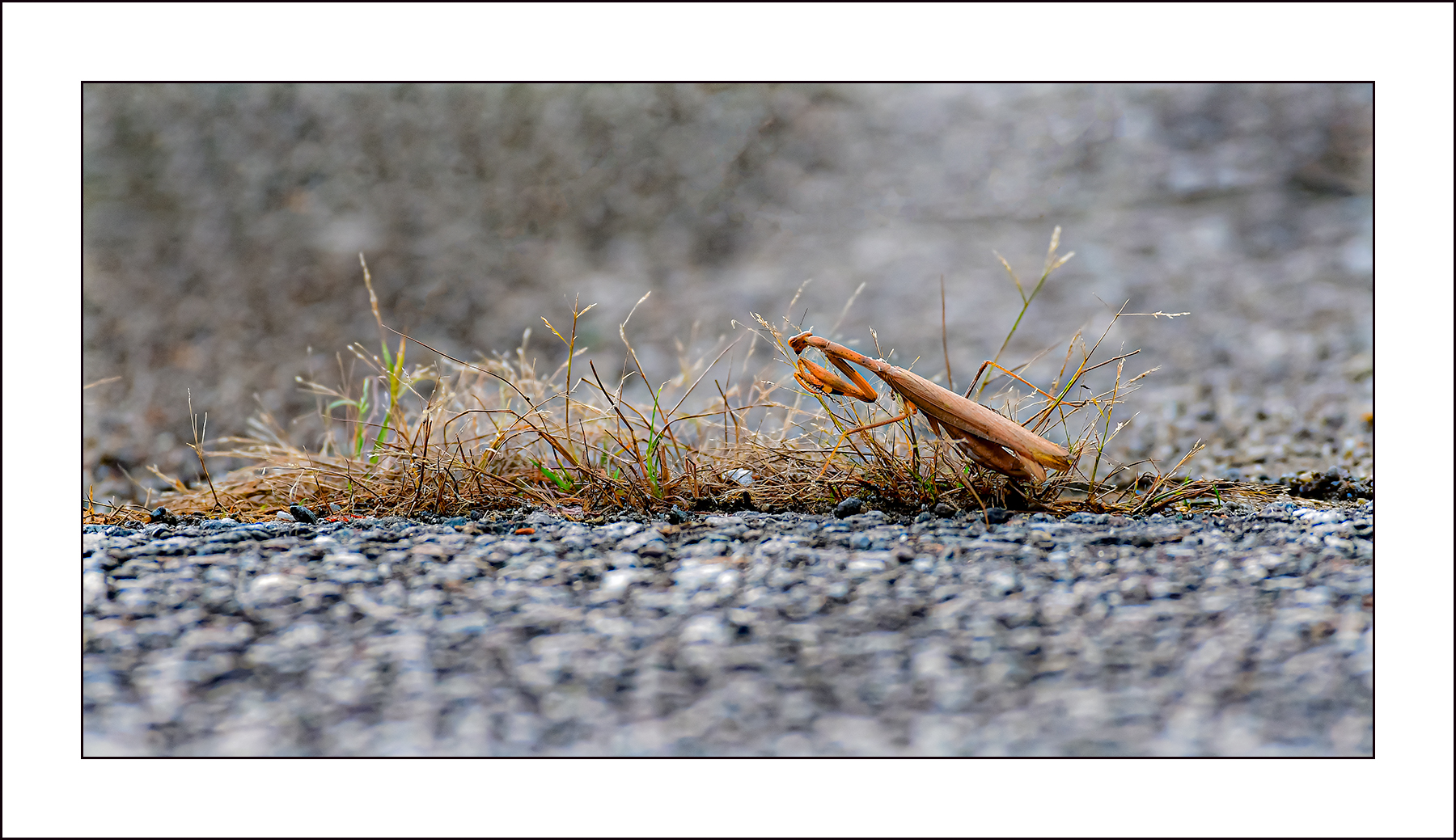   | PHOTO BY :   |