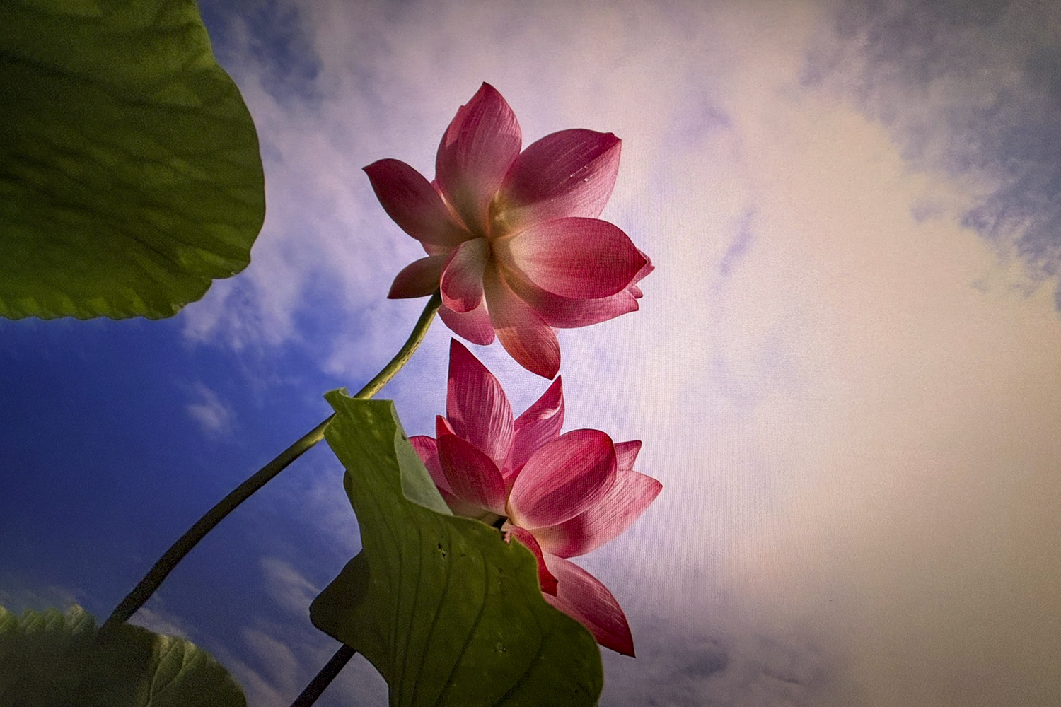   | PHOTO BY :   |