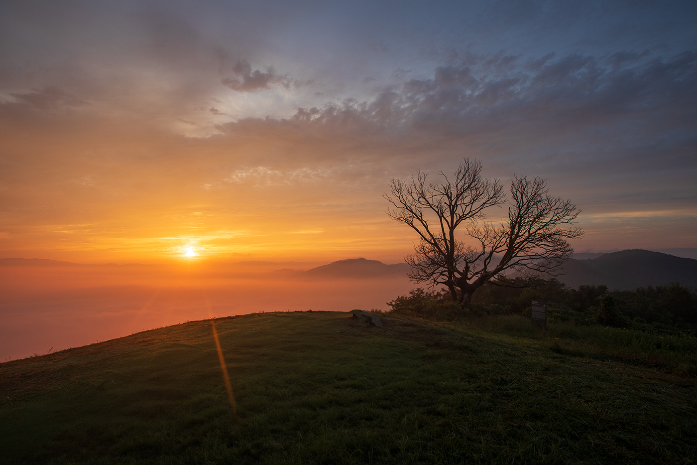PHOTO BY  | Canon EOS 5D Mark IV | 2024:08:27 06:07:11 | ISO-250 | 1/160 sec | f 8 | 16 mm | EV=0 | ● WIDTH:1400 pixels  HEIGHT:933 pixels