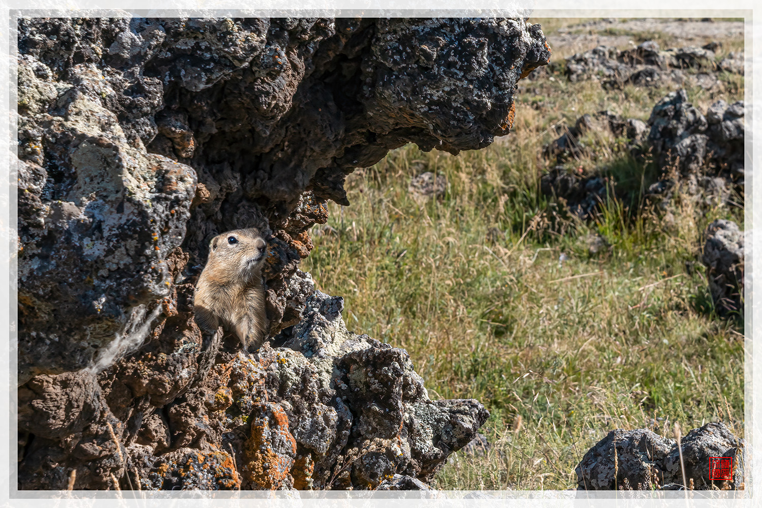 PHOTO BY  | NIKON Z 9 | 2024:08:11 10:50:56 | ISO-200 | 1/160 sec | f 13 | 100 mm | EV=0 | ● WIDTH:1500 pixels  HEIGHT:999 pixels