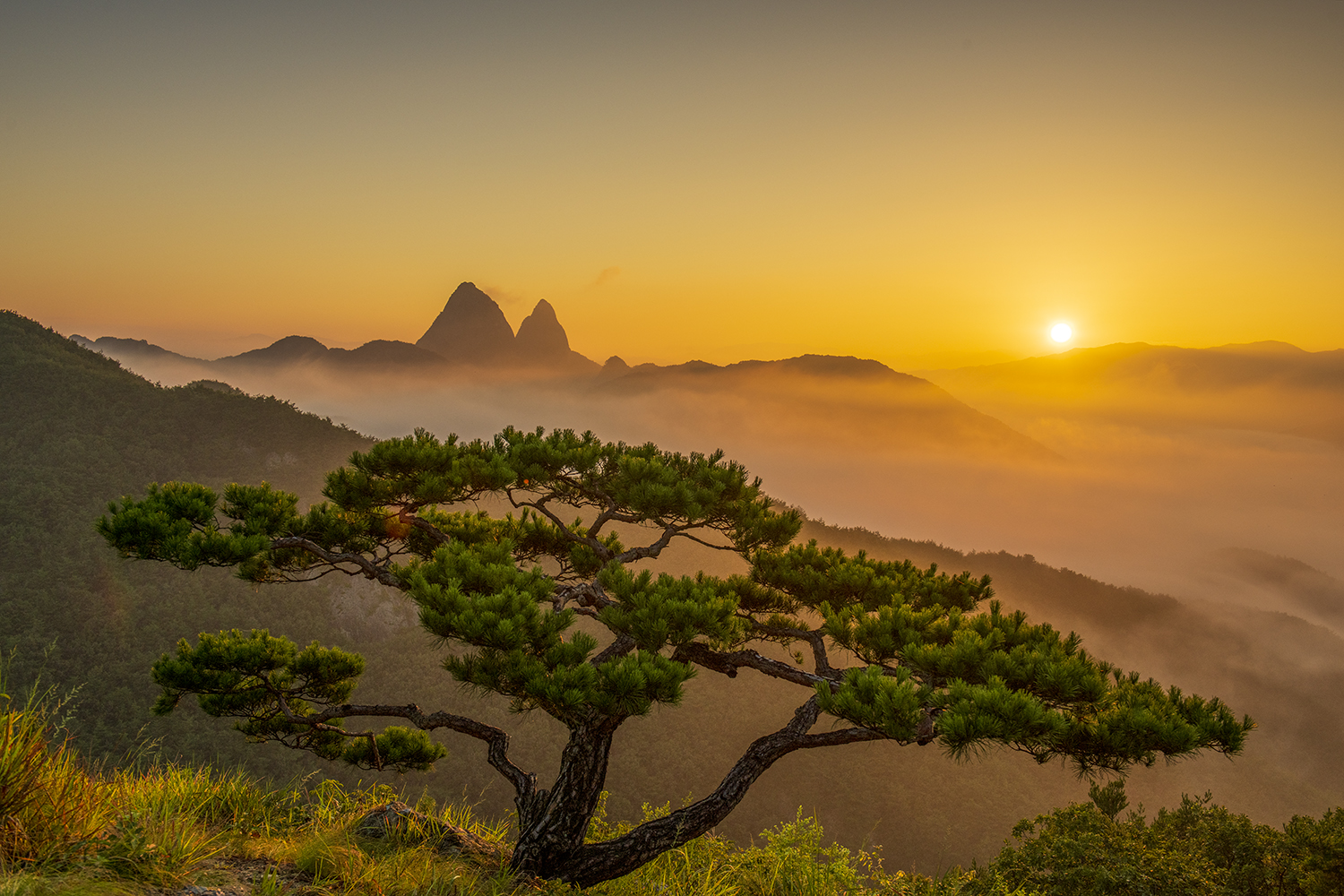 PHOTO BY  | NIKON D850 | 2024:08:31 06:10:45 | ISO-200 | 1/250 sec | f 8 | 34 mm | EV=0 | ● WIDTH:1500 pixels  HEIGHT:1000 pixels