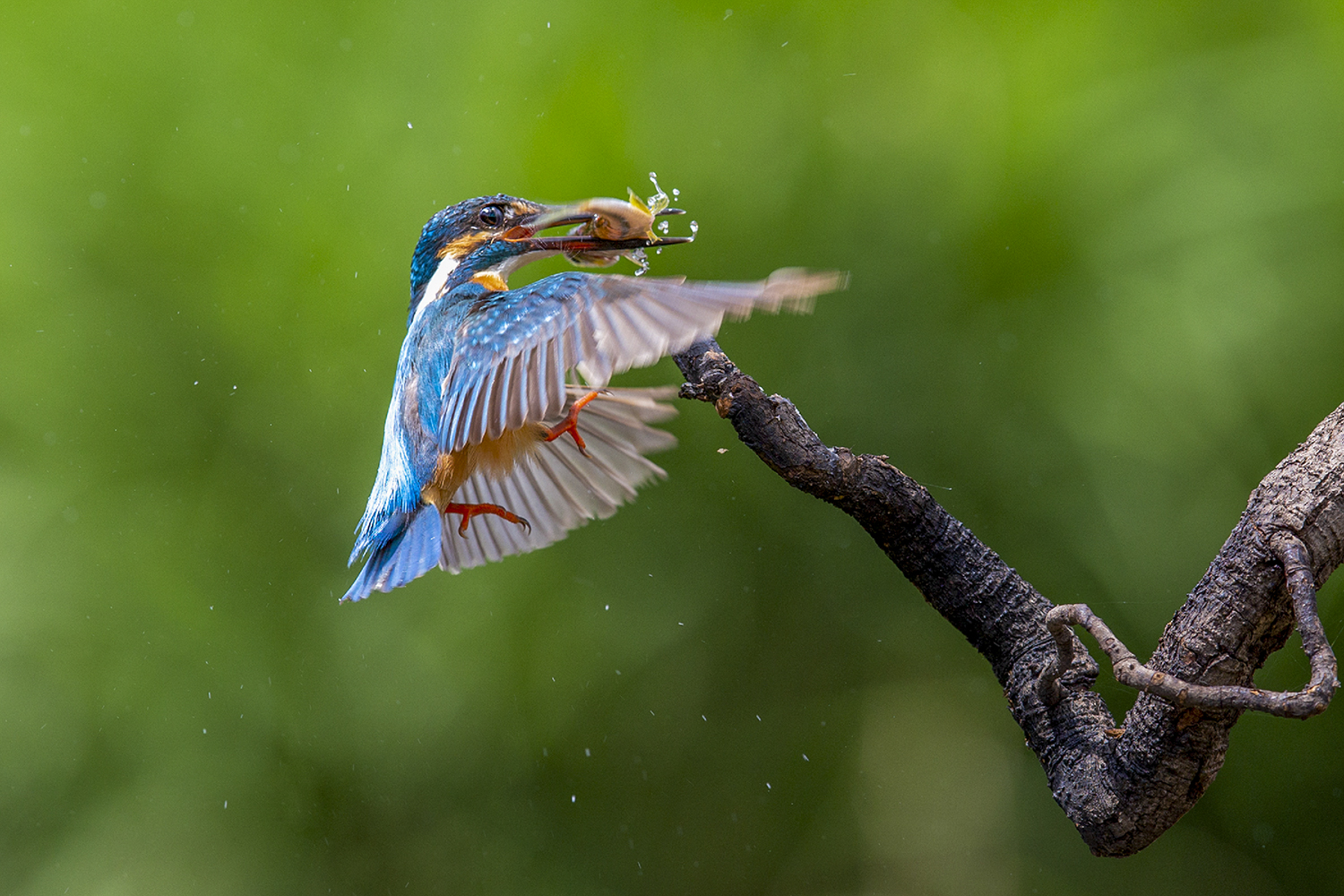 PHOTO BY  | CanonCanon  |  | ISO- |  |  |  | EV=0 | ● WIDTH:  HEIGHT: