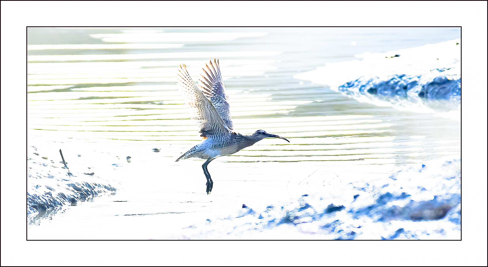   | PHOTO BY :   |