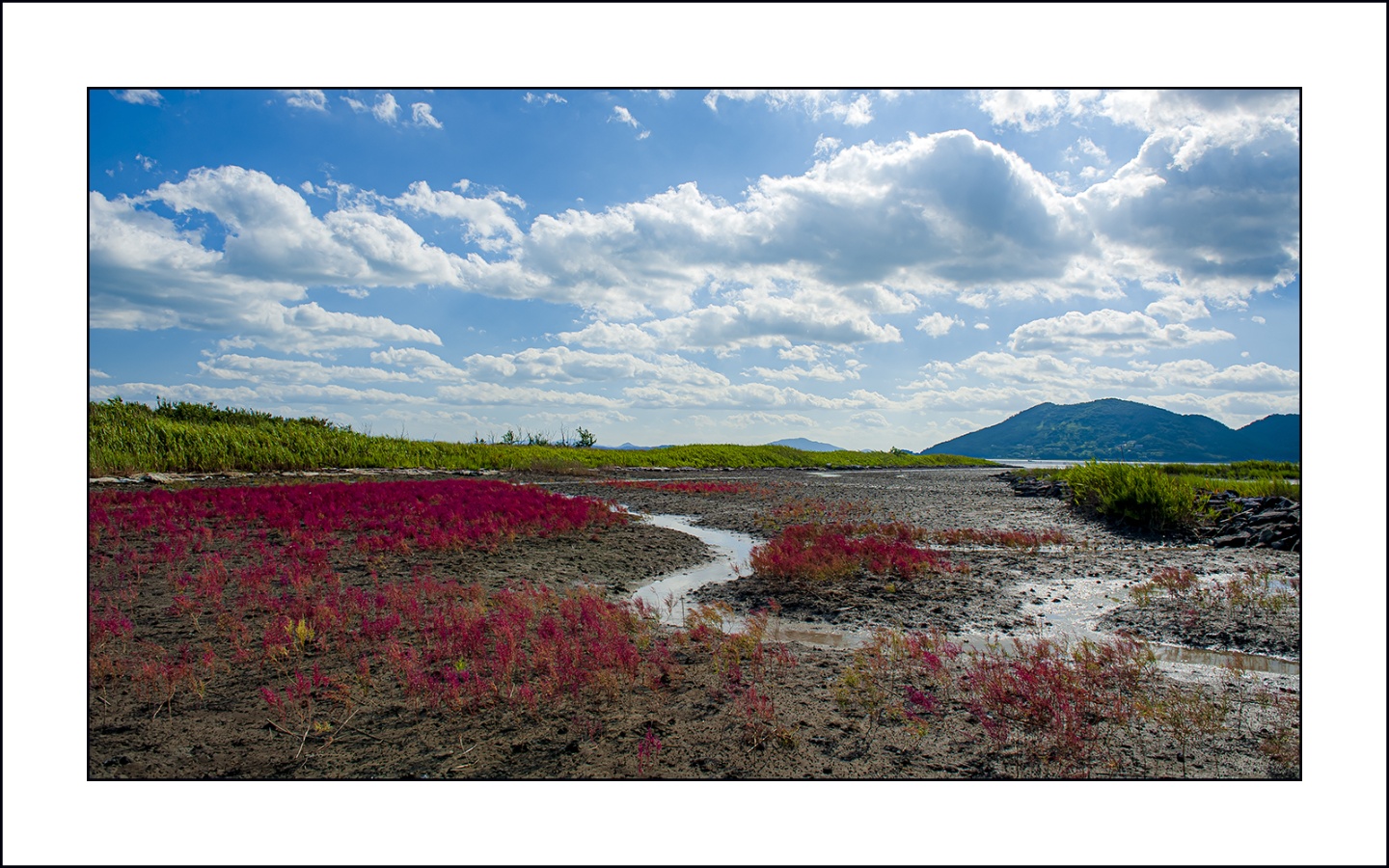   | PHOTO BY :   |