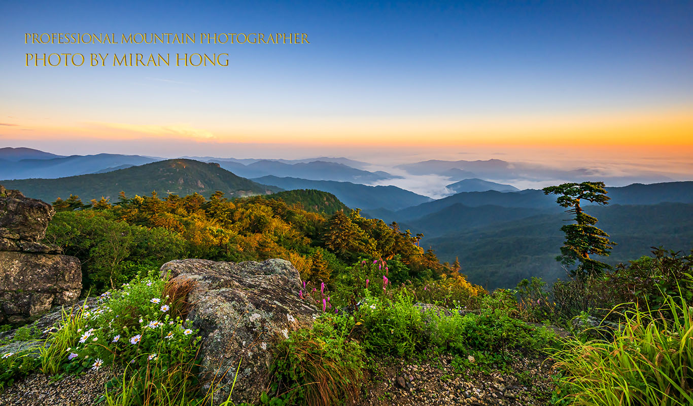 PHOTO BY HONG_MI_RAN | NIKON Z 8 | 2024:08:18 05:57:47 | ISO-400 | 1/80 sec | f 11 | 14 mm | EV=-0.3 | ● WIDTH:1366 pixels  HEIGHT:801 pixels