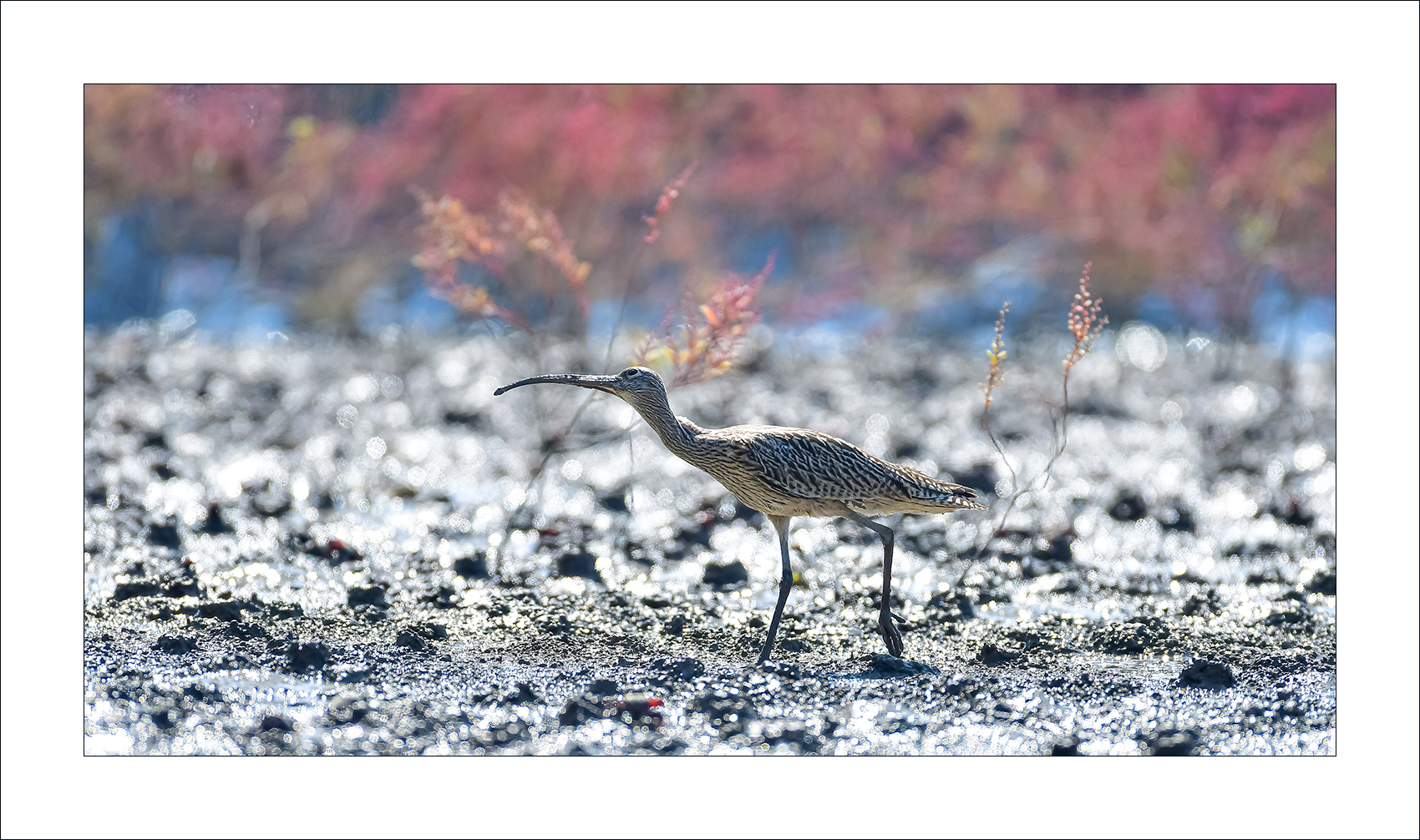  | PHOTO BY :   |