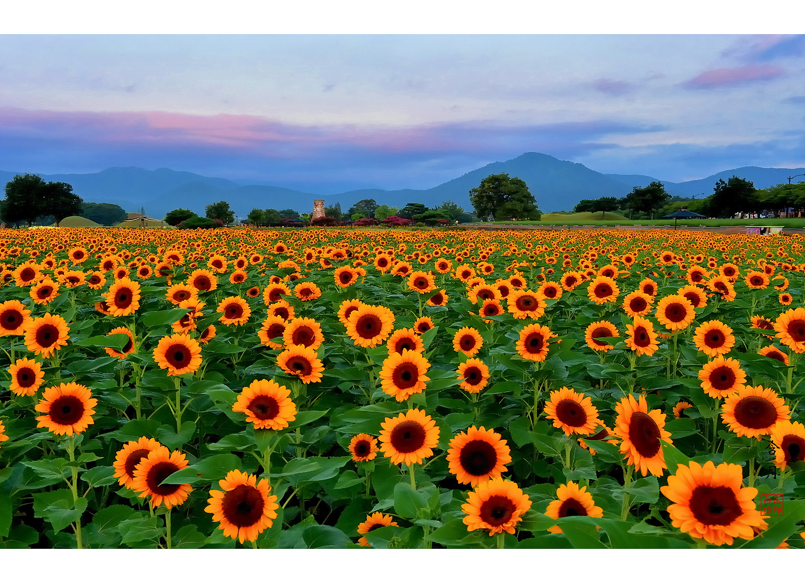 PHOTO BY Hamwuel Baek | NIKON D5 | 2024:08:13 05:54:46 | ISO-100 | 1/10 sec | f 11 | 35 mm | EV=-0.7 | ● WIDTH:1600 pixels  HEIGHT:1159 pixels