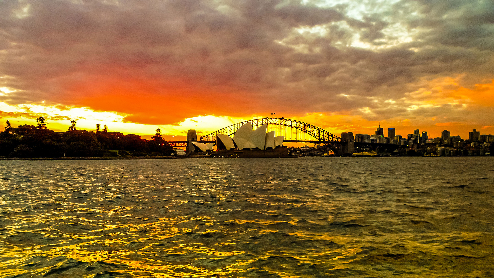   | PHOTO BY :   |