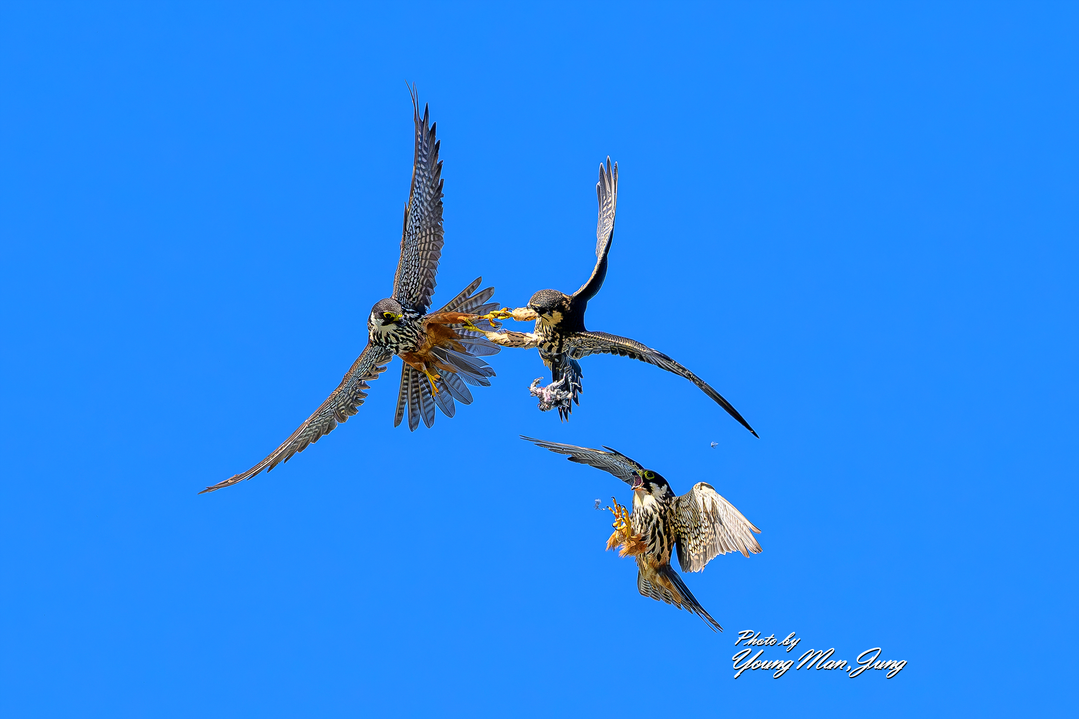   | PHOTO BY :   |