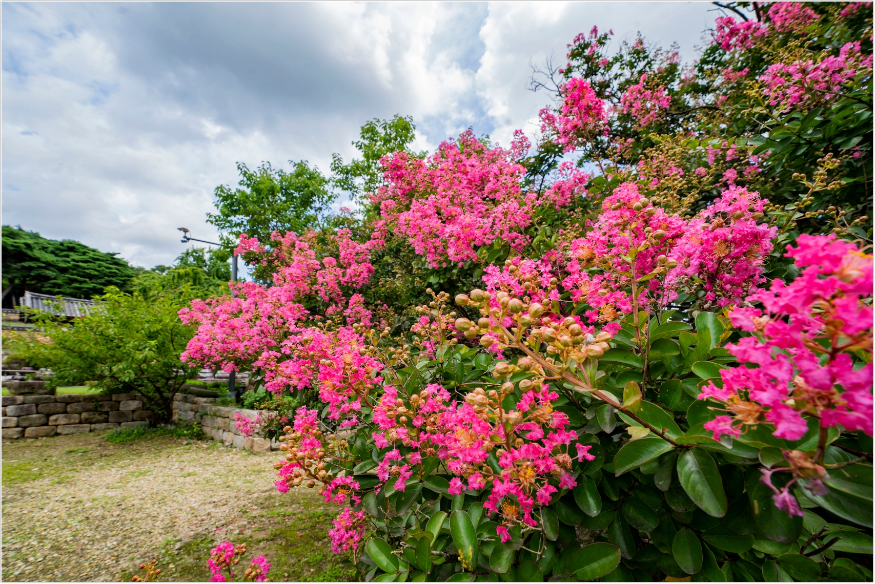 PHOTO BY  | ILCE-7RM4 | 2024:07:25 11:15:28 | ISO-100 | 1/50 sec | f 10 | 15 mm | EV=0 | ● WIDTH:1707 pixels  HEIGHT:1140 pixels