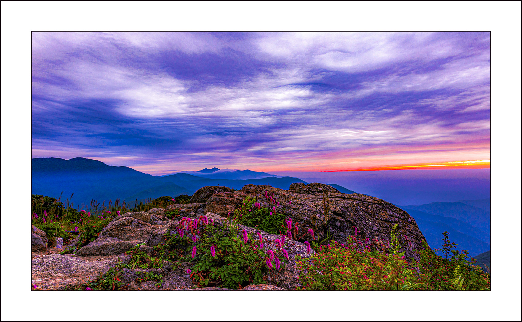   | PHOTO BY :   |