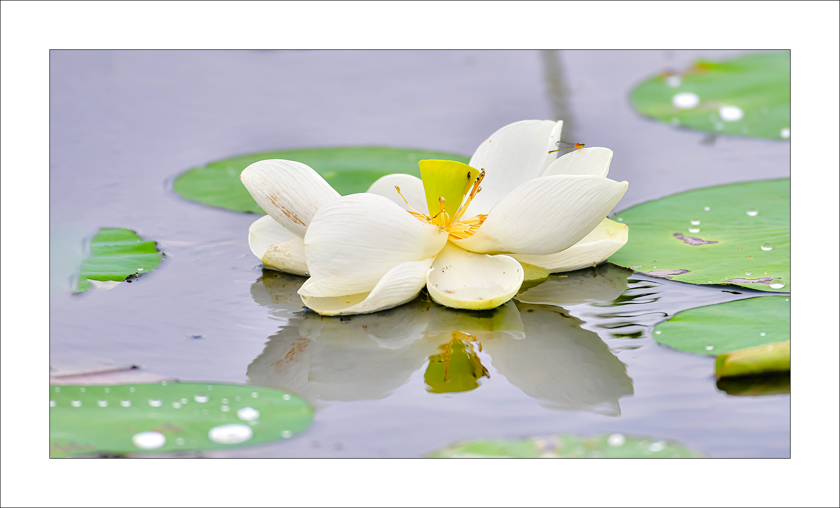   | PHOTO BY :   |
