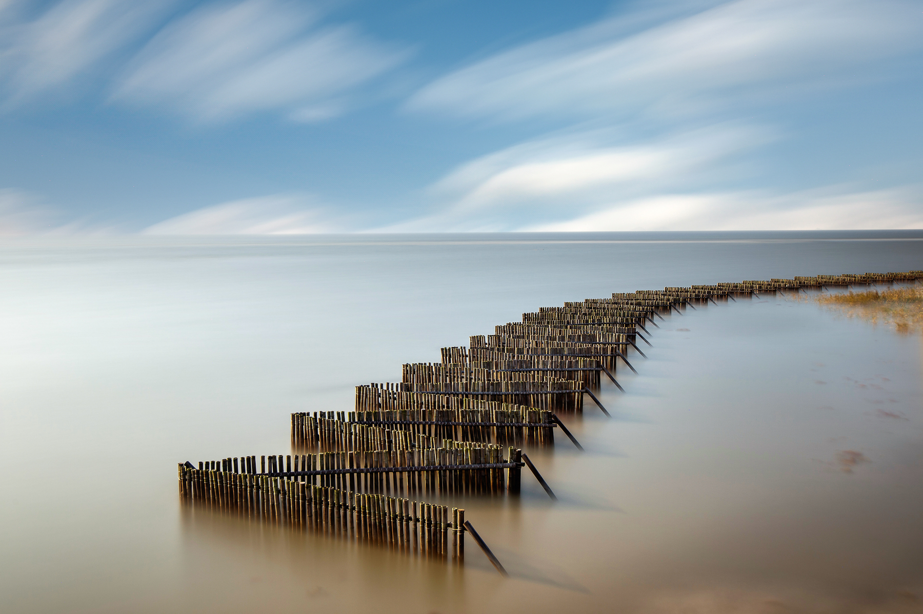   | PHOTO BY :   |