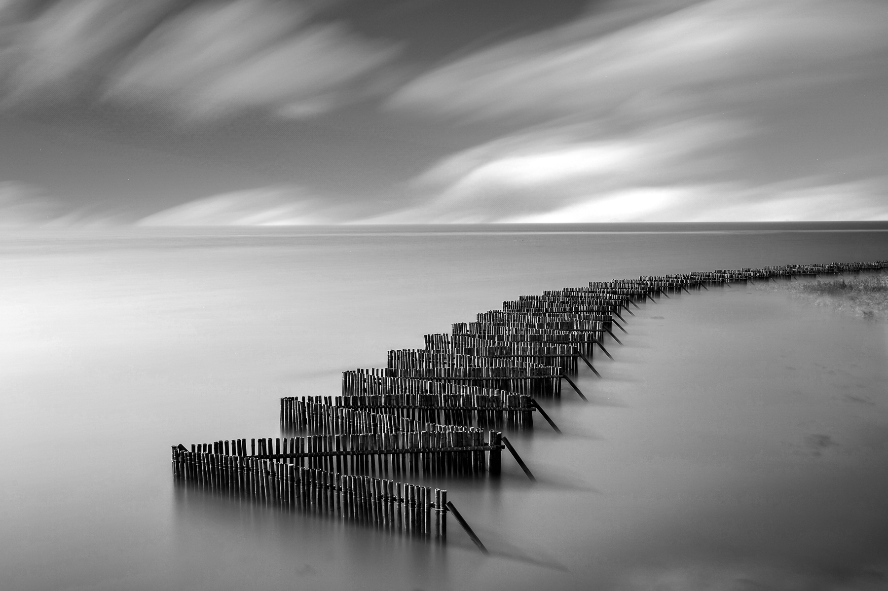   | PHOTO BY :   |