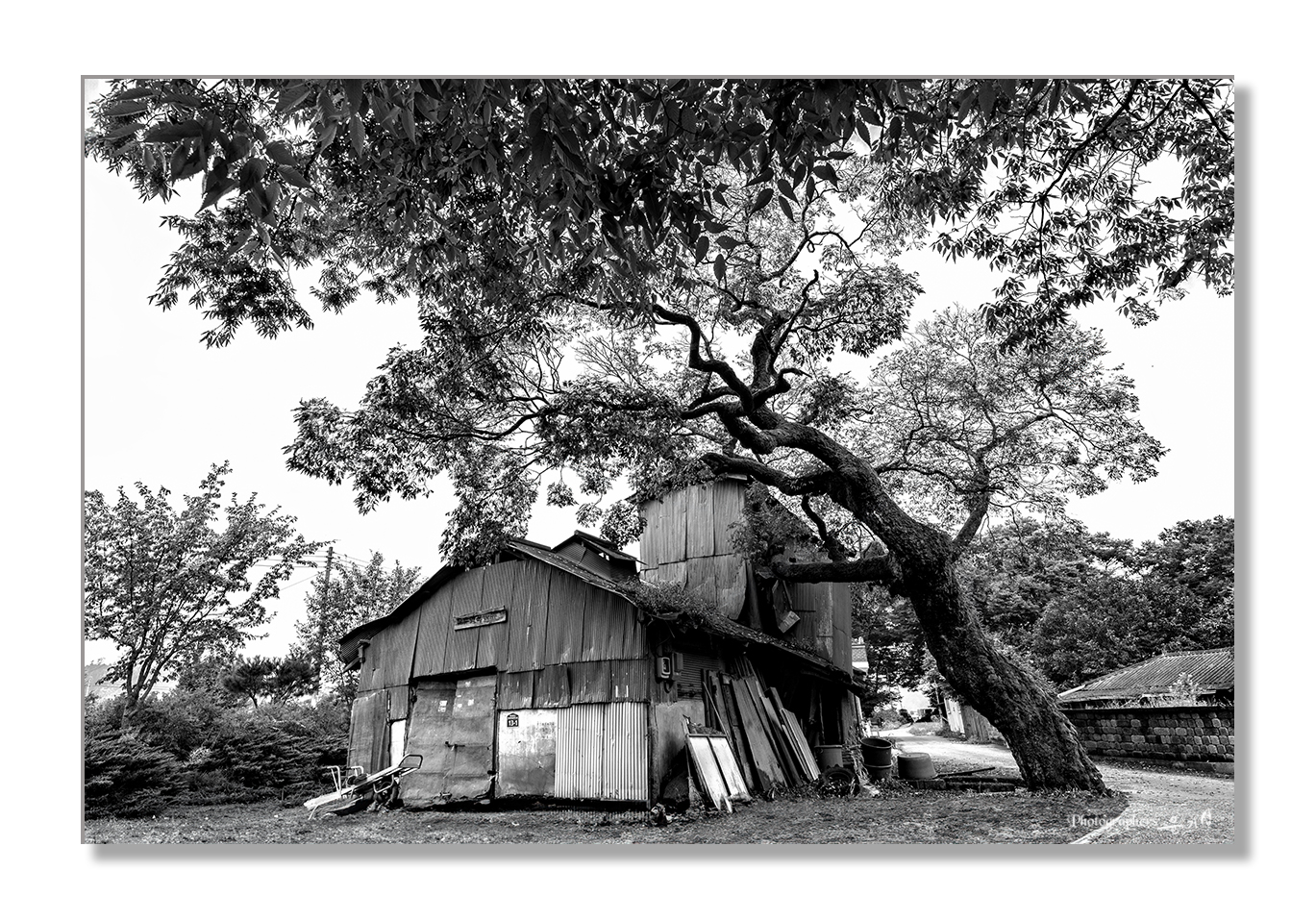 PHOTO BY YGS | NIKON D850 | 2024:09:08 07:39:41 | ISO-100 | 1/80 sec | f 9 | 19 mm | EV=0 | ● WIDTH:1369 pixels  HEIGHT:958 pixels