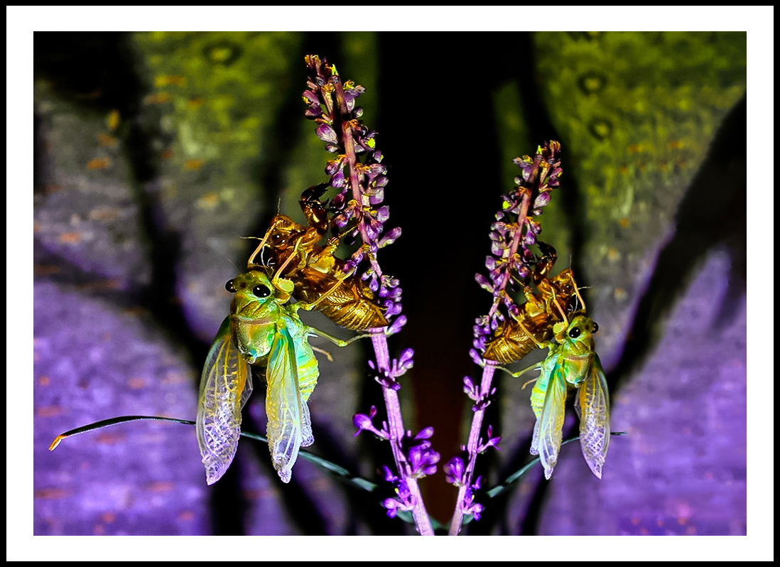   | PHOTO BY :   |