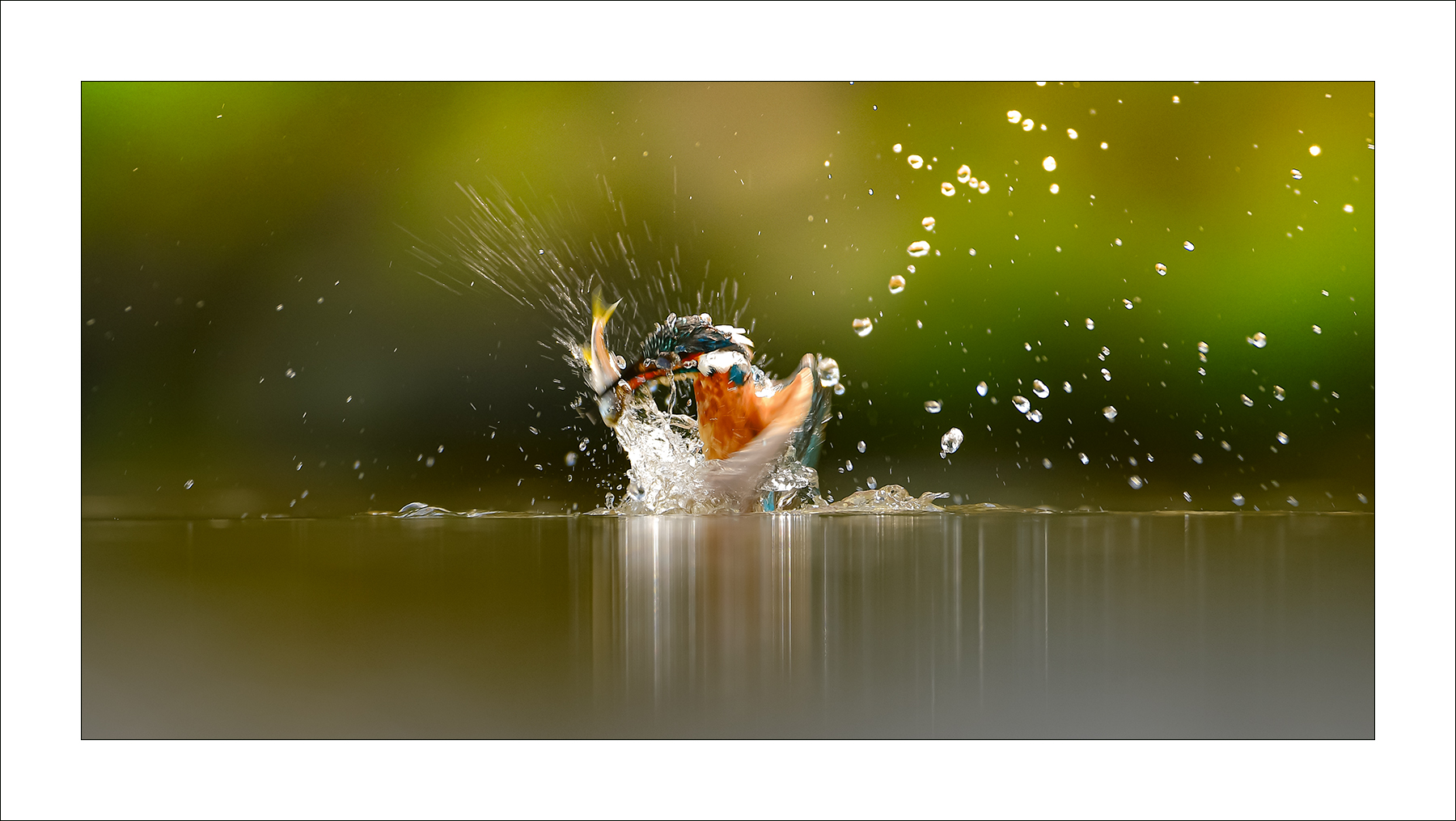   | PHOTO BY :   |