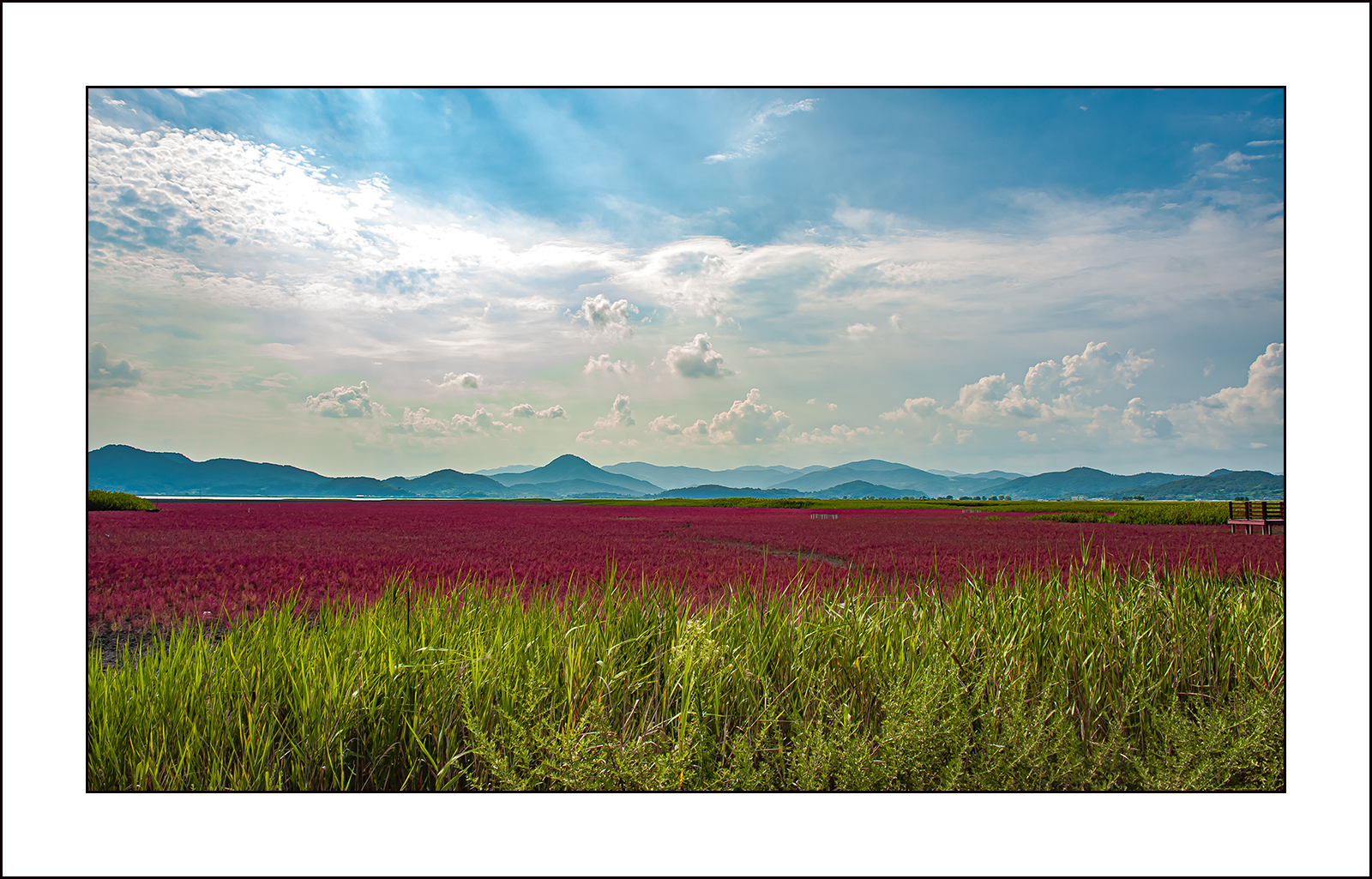   | PHOTO BY :   |
