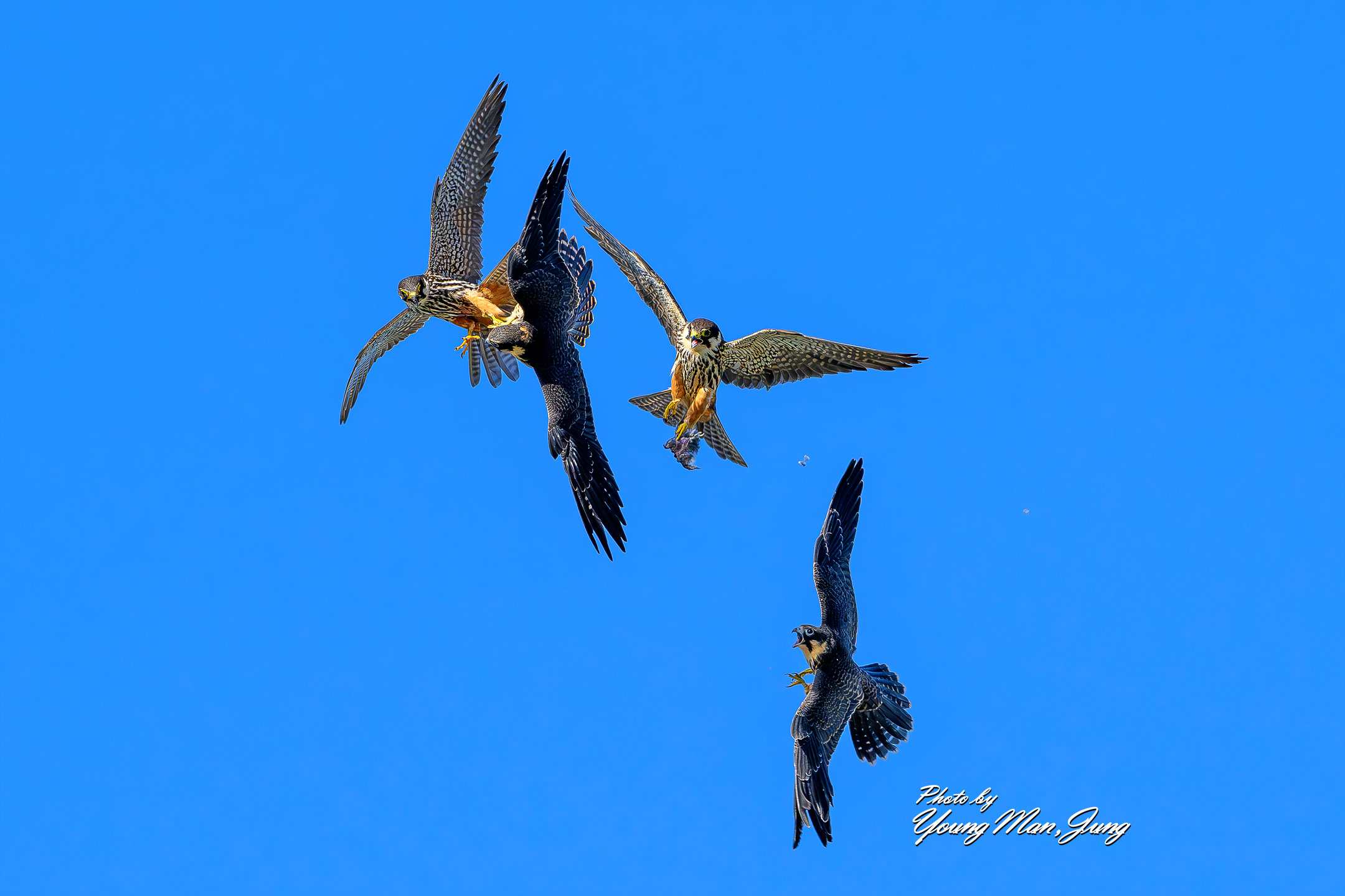   | PHOTO BY :   |