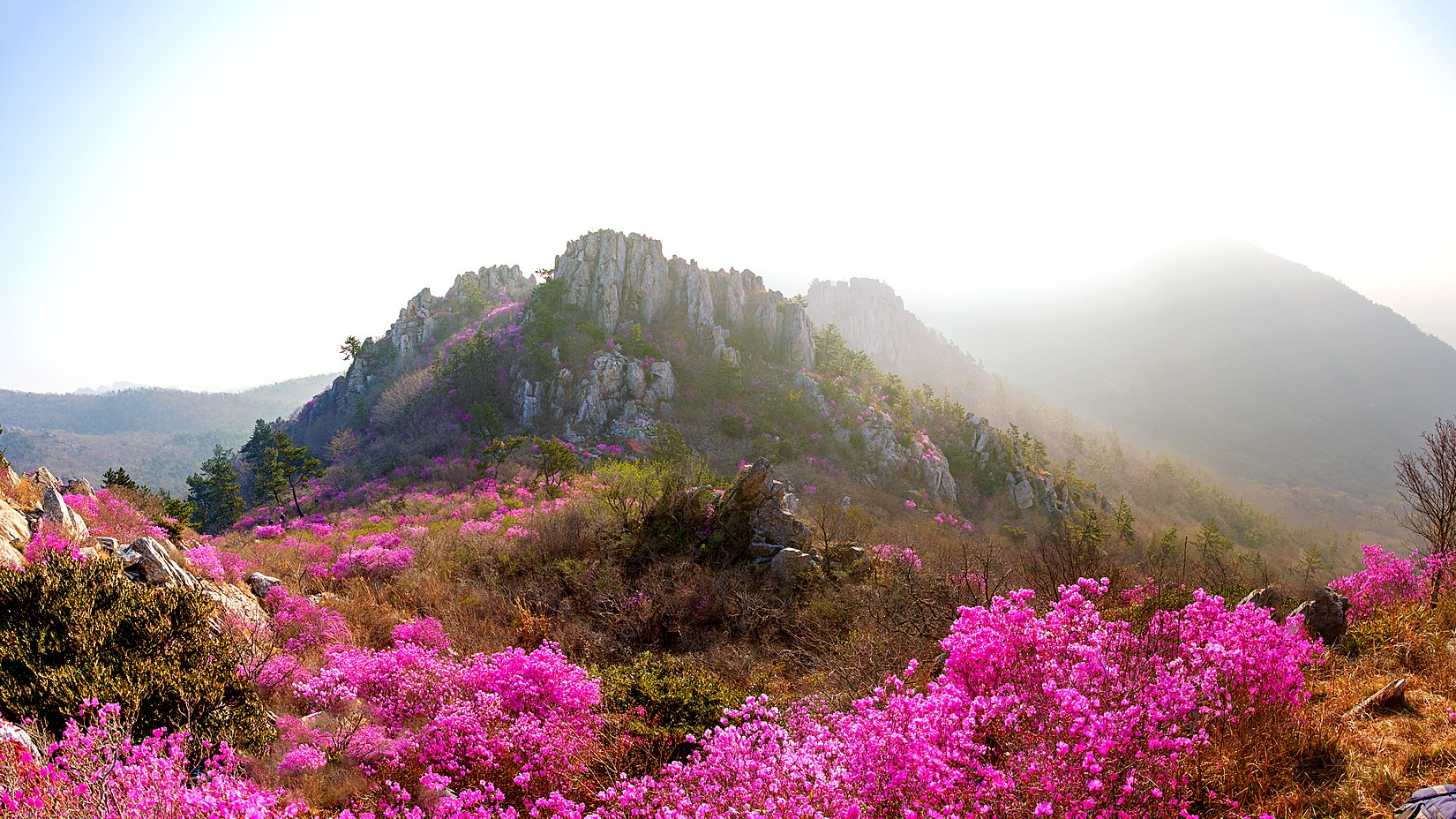 주작산 .원판