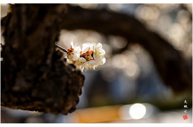   | PHOTO BY : 천지연  |