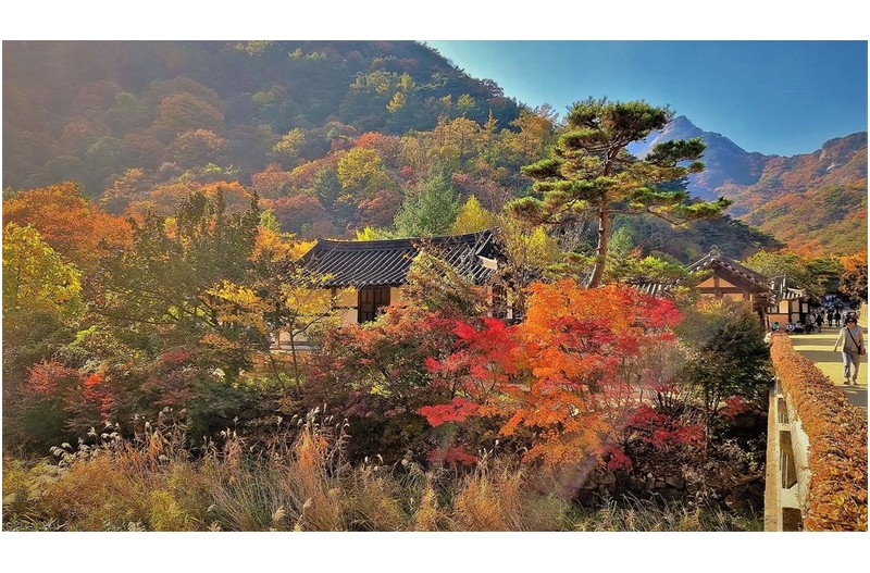   | PHOTO BY : 김세환/명품  |