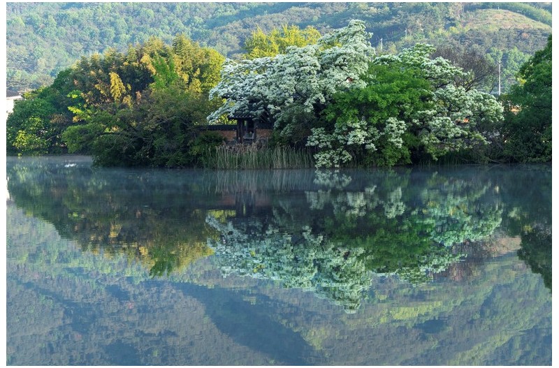   | PHOTO BY : 실상/김익택  |