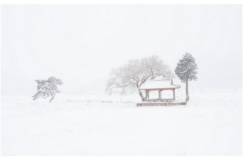 PHOTO BY  | NIKON D810  | 2016:01:24 13:06:29  | ISO-200 | 1/250 sec | f 9 | 38 mm | EV=2 | ● WIDTH:1200 pixels  HEIGHT:756 pixels
