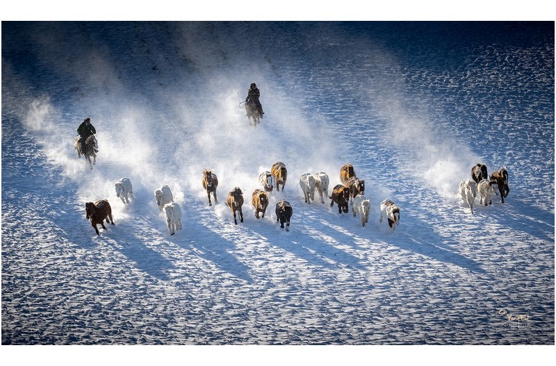 PHOTO BY  | NIKON Z 9  | 2024:01:06 09:55:20  | ISO-100 | 1/160 sec | f 11 | 130 mm | EV=0 | ● WIDTH:1920 pixels  HEIGHT:1126 pixels