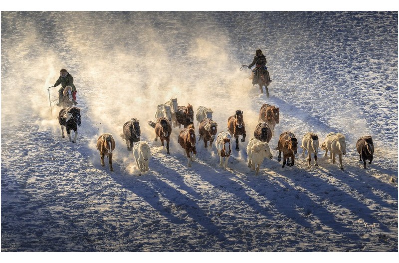 PHOTO BY  | NIKON Z 9  | 2024:01:06 09:57:58  | ISO-100 | 1/250 sec | f 11 | 155 mm | EV=0 | ● WIDTH:1920 pixels  HEIGHT:1165 pixels