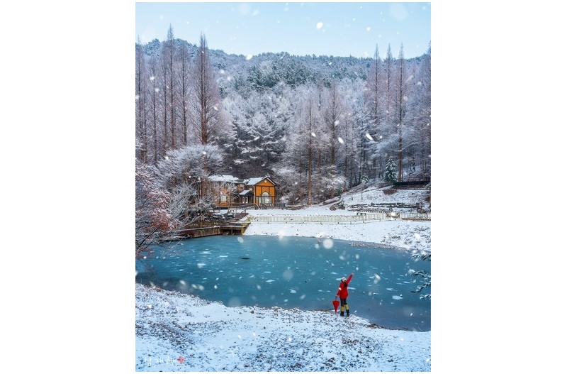 PHOTO BY bodhi-dharma   | ILCE-7M4   | 2024:01:10 17:05:52   | ISO-100 | 1/40 sec | f 5.6 | 24 mm | EV=0 | ● WIDTH:1280 pixels  HEIGHT:1600 pixels