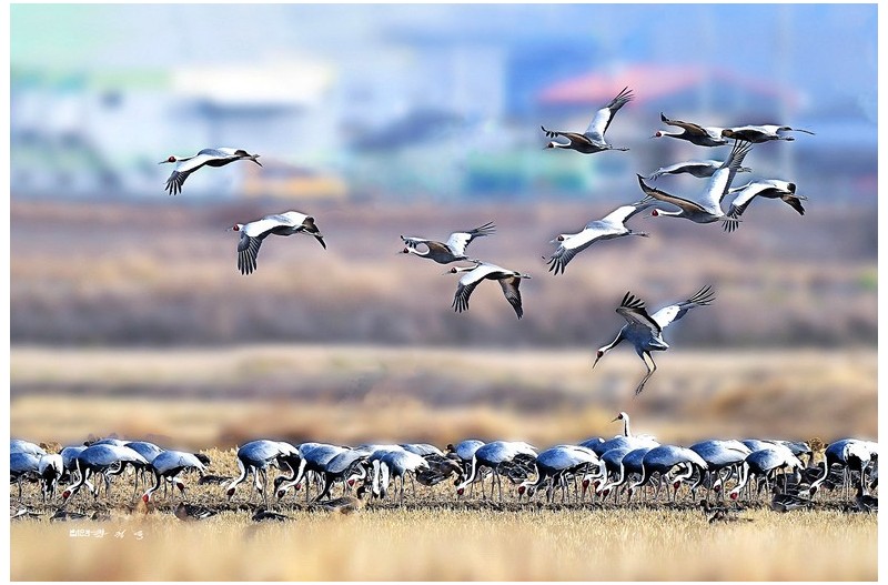 PHOTO BY  | KON CORPO |  | ISO- |  |  |  | EV=0 | ● WIDTH:  HEIGHT: