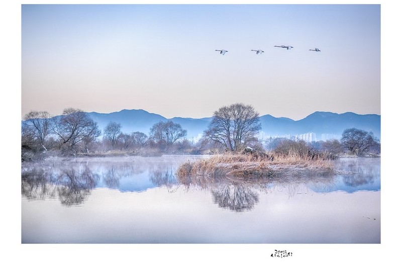 PHOTO BY Kwon Young Woo  | NIKON D850  | 2024:01:14 07:28:12  | ISO-640 | 1/400 sec | f 4 | 60 mm | EV=-0.7 | ● WIDTH:1326 pixels  HEIGHT:947 pixels