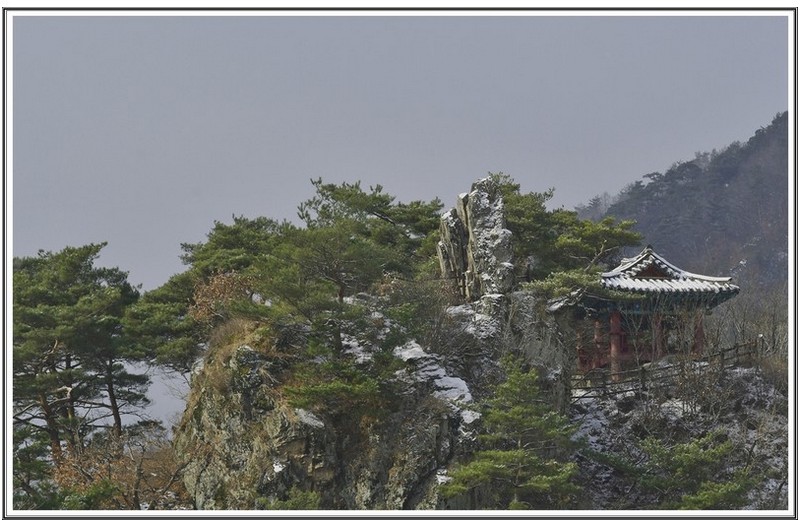 PHOTO BY                                       | NIKON D500  | 2023:12:25 12:36:38  | ISO-200 | 1/500 sec | f 11 | 85 mm | EV=0 | ● WIDTH:5568 pixels  HEIGHT:3712 pixels