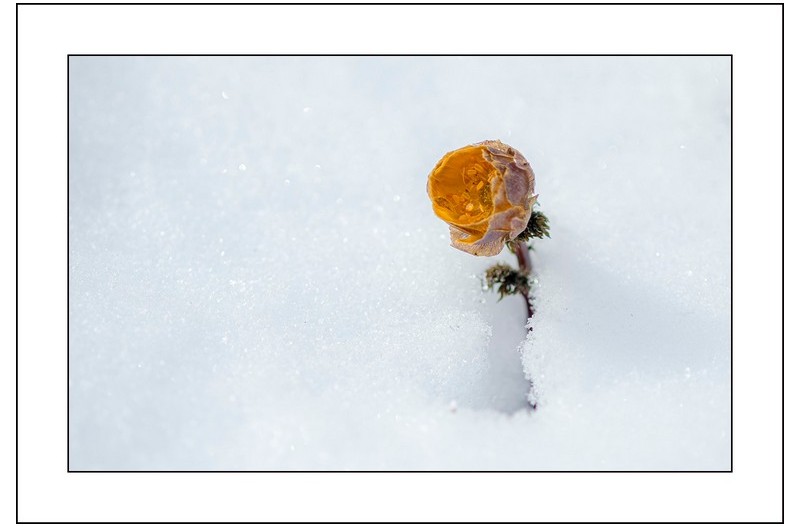   | PHOTO BY : 삿갓/정봉식  |