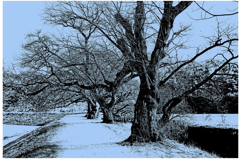   | PHOTO BY : 몰운대/조태열  |