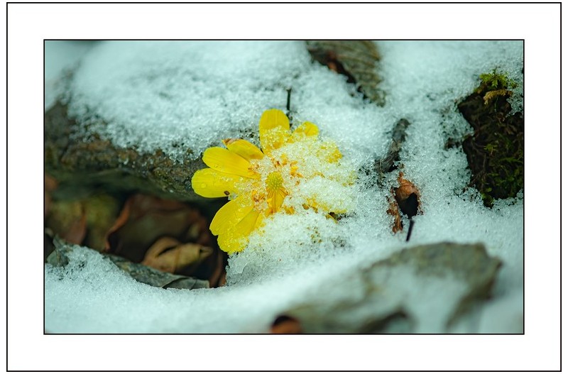   | PHOTO BY : 삿갓/정봉식  |