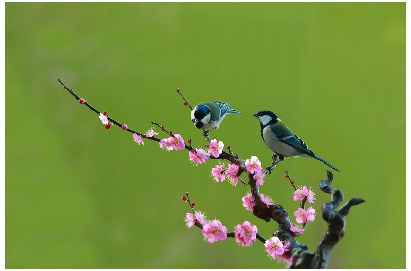 PHOTO BY WO2YA LAB  | Canon EOS-1D X Mark II  | 2024:01:15 16:00:50  | ISO-3200 | 1/2000 sec | f 25 | 271 mm | EV=0 | ● WIDTH:1800 pixels  HEIGHT:1200 pixels