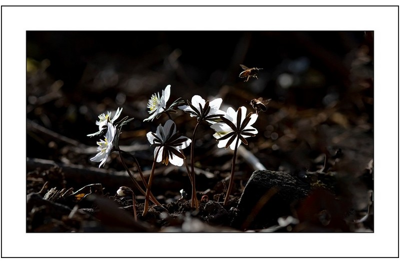   | PHOTO BY : 삿갓/정봉식  |