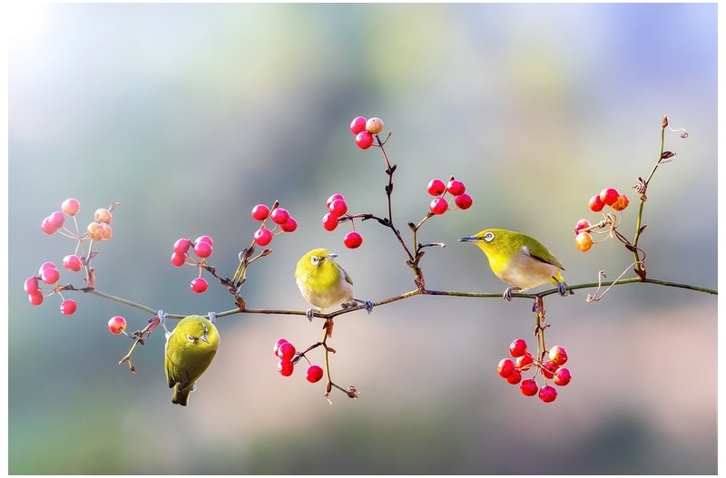   | PHOTO BY : 조현래  |