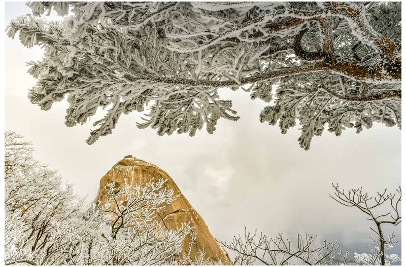 PHOTO BY Jae Ik Lee  | NIKON D850  | 2024:02:07 09:55:32  | ISO-200 | 1/100 sec | f 5.6 | 24 mm | EV=0.7 | ● WIDTH:  HEIGHT: