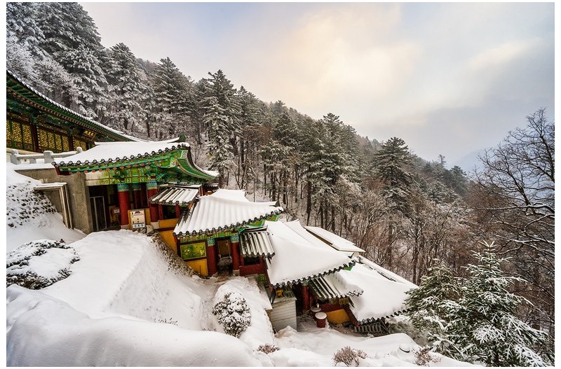 PHOTO BY  | NIKON Z 7_2  | 2024:01:22 08:07:18  | ISO-200 | 1/80 sec | f 9 | 14 mm | EV=0 | ● WIDTH:1200 pixels  HEIGHT:800 pixels