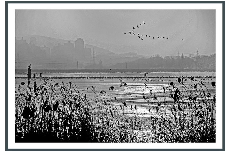   | PHOTO BY : 대심/강대형  |