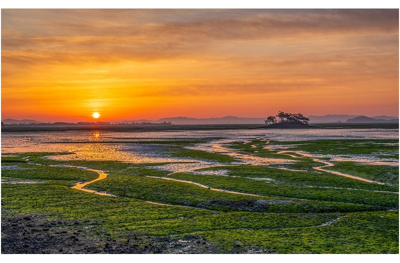 PHOTO BY  | NIKON D850  | 2024:02:09 07:30:40  | ISO-200 | 1/125 sec | f 8 | 52 mm | EV=0 | ● WIDTH:1200 pixels  HEIGHT:742 pixels